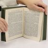 S. M. Prem Goethes ausgewählte Werke 13