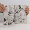 Miwa Ueda Peach girl 17