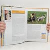 Martin Rütter Hundetraining mit Martin Rütte