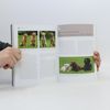 Martin Rütter Haltung mehrerer Hunde