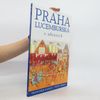 Praha lucemburská v obrazech