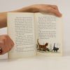 Ursula K. Le Guin Wonderful Alexander and the Catwings