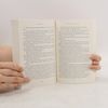 Rachel Lacey Read Between the Lines