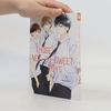 Those Not-So-Sweet Boys – Band 2