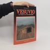 Elio Abatino Vesuvio un volcan et son histoire