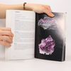 Michael Gienger Handboek geneeskrachtige stenen