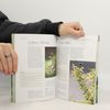 Elke Schwarzer Heimische Pflanzen für den Garten