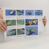 Brian Criner Osprey Modelling - 25: Modelling the Mitsubishi A6M Zero