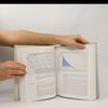 William A. McEachern Economics