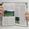 Autorenkollektiv Gärten renovieren praktische Tipps und Ideen