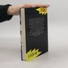 Fiona Kelly Mystery Club. Notlandung im Gebirge