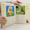 Anne Piper Der große neue Filzen-Kompaktkurs