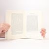 Siegfried Kracauer Die Frankfurt Bibliothek: Das bunte Frankfurt