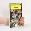 Walter Scott Bibliothek der Abenteuer - 27: Ivanhoe