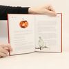 Jacob Grimm De mooiste sprookjes van Grimm