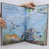 Yuval Zommer El gran llibre de les flors