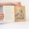 Collectif d'auteurs Der Fuchs und die Weintrauben