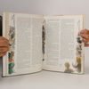 Konrad Eyferth Praxis: Sprache & Literatur