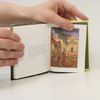 Vincent van Gogh Van Gogh