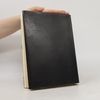 Vincent van Gogh Sämtliche Briefe 5