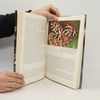 Autorenkollektiv Einheimnische Schmetterlinge