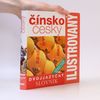 Autorenkollektiv Dvojjazyčný ilustrovaný slovník. Čínsko-český