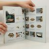 Zülal AytüreScheele Kouzelné origami : svět papírových zvířátek