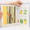 Ursula Barff Das große farbige Bastelbuch für Kinder