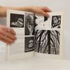 Autorenkollektiv Der Zauberspiegel des Maurits Cornelis Escher