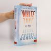 Katja Brandis White zone - letzte Chance