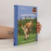 Jagdverhalten bei Hunden