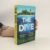 Sara Ochs The Dive