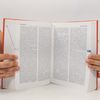 Dieter Baer Duden, Das große Fremdwörterbuch