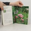 Karin Greiner Jarní květiny na zahrady, balkóny a terasy : odborné rady pro nákup, sázení a péči, rozmnožování, přezimování