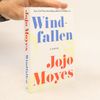 Jojo Moyes Windfallen