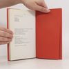 D. H. Lawrence Studie z klasické americké literatury