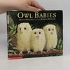 Martin Waddell Owl Babies