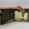 Martin Waddell Owl Babies