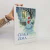 Česká zima. Prosinec, leden, únor.