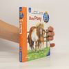Thea Roß Das Pony
