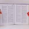 Jiří Rejzek Český etymologický slovník