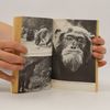 Jane Goodall Wilde Schimpansen