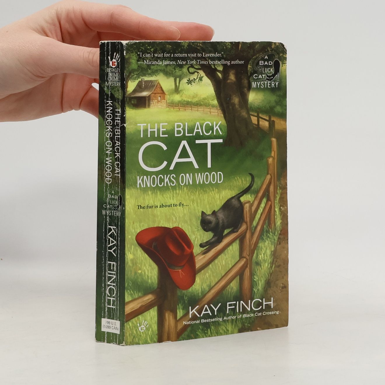 Secret Languages Decipher A Bad Luck Cat Mystery Series (books) - bookbot.com