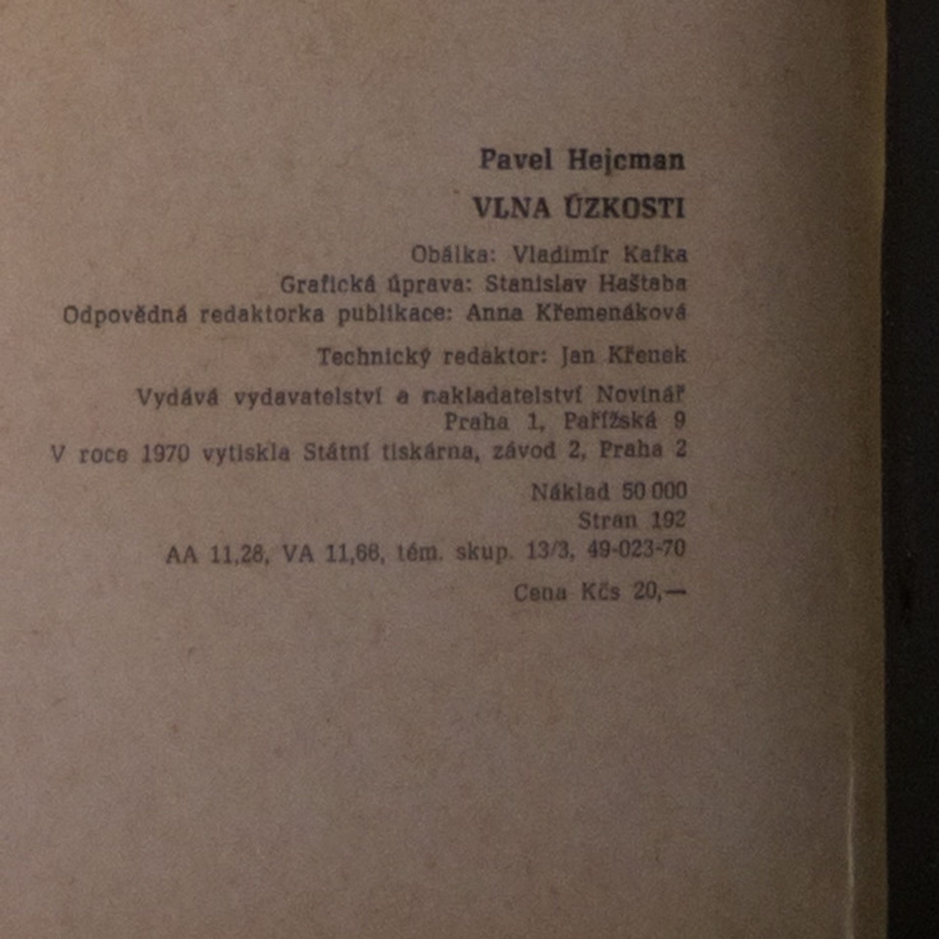 Pavel Hejcman Vlna úzkosti