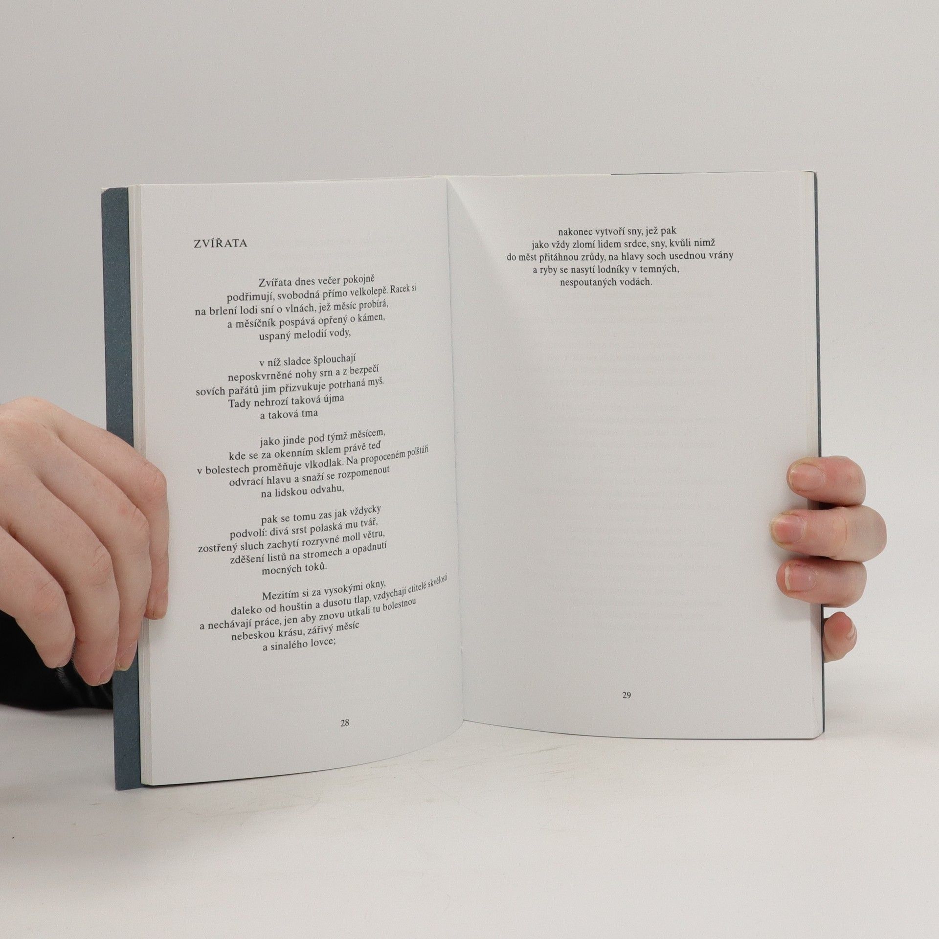 Richard Wilbur Věci tohoto světa