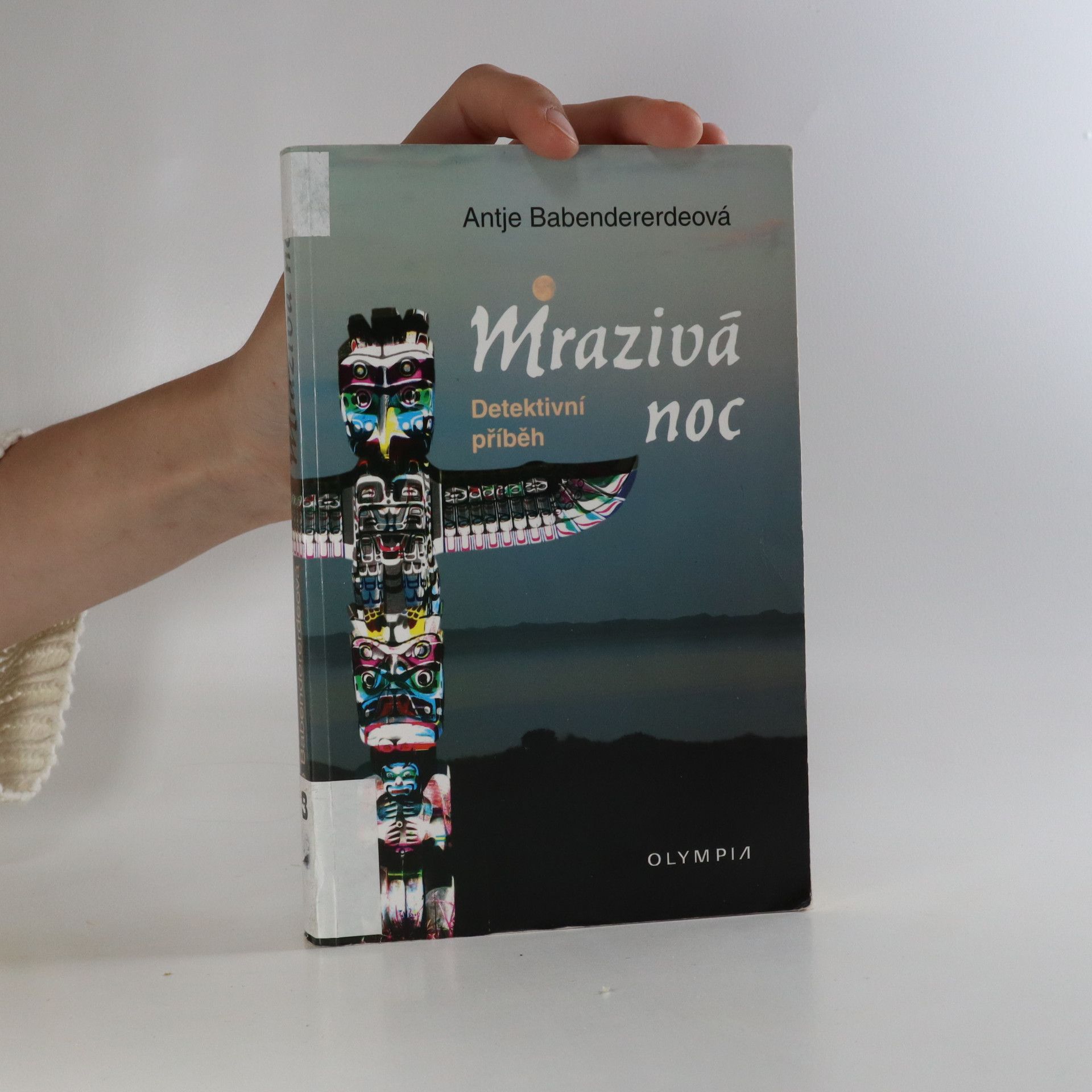 Antje Babendererde Mrazivá noc