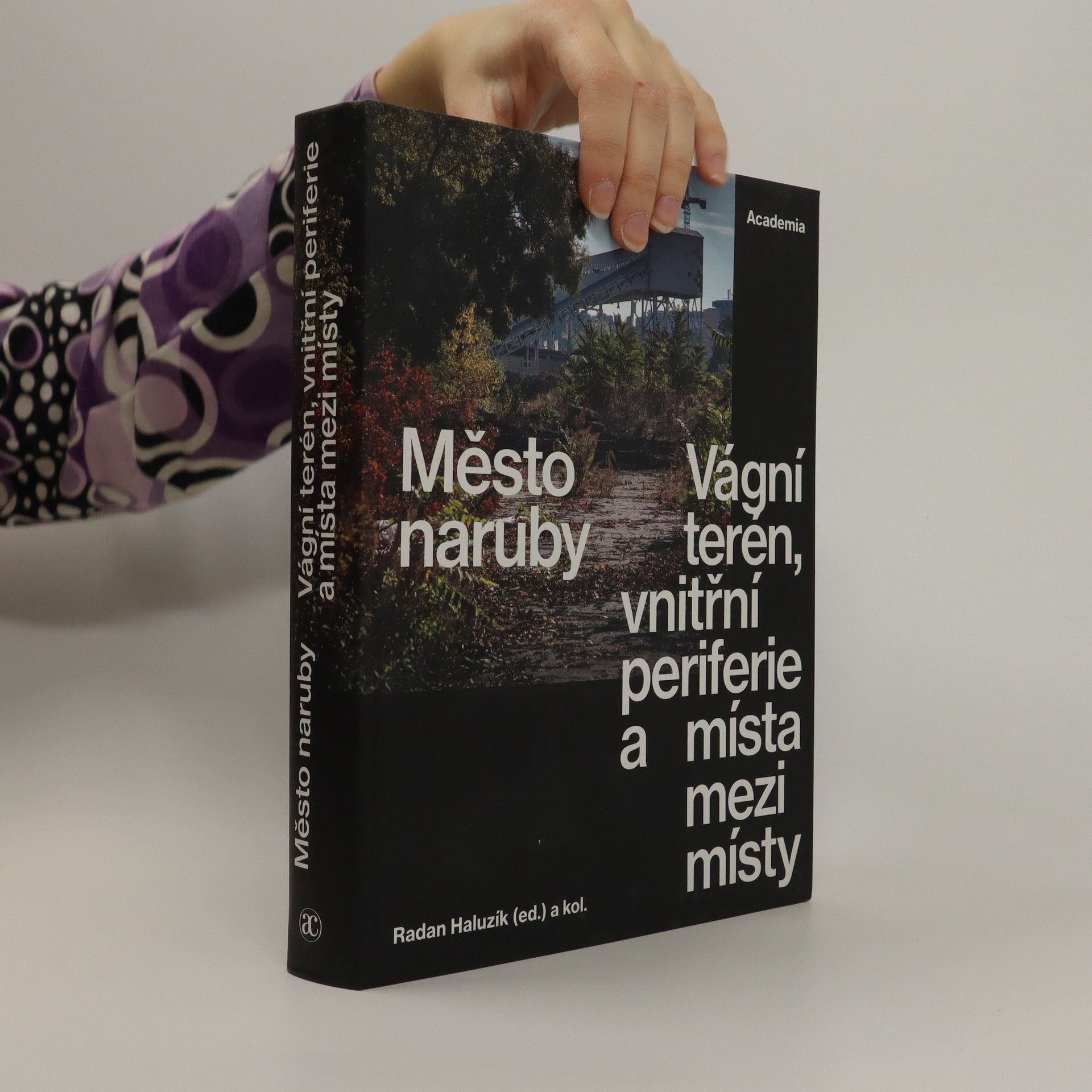 Radan Haluzík Město naruby : vágní terén, vnitřní periferie a místa mezi místy