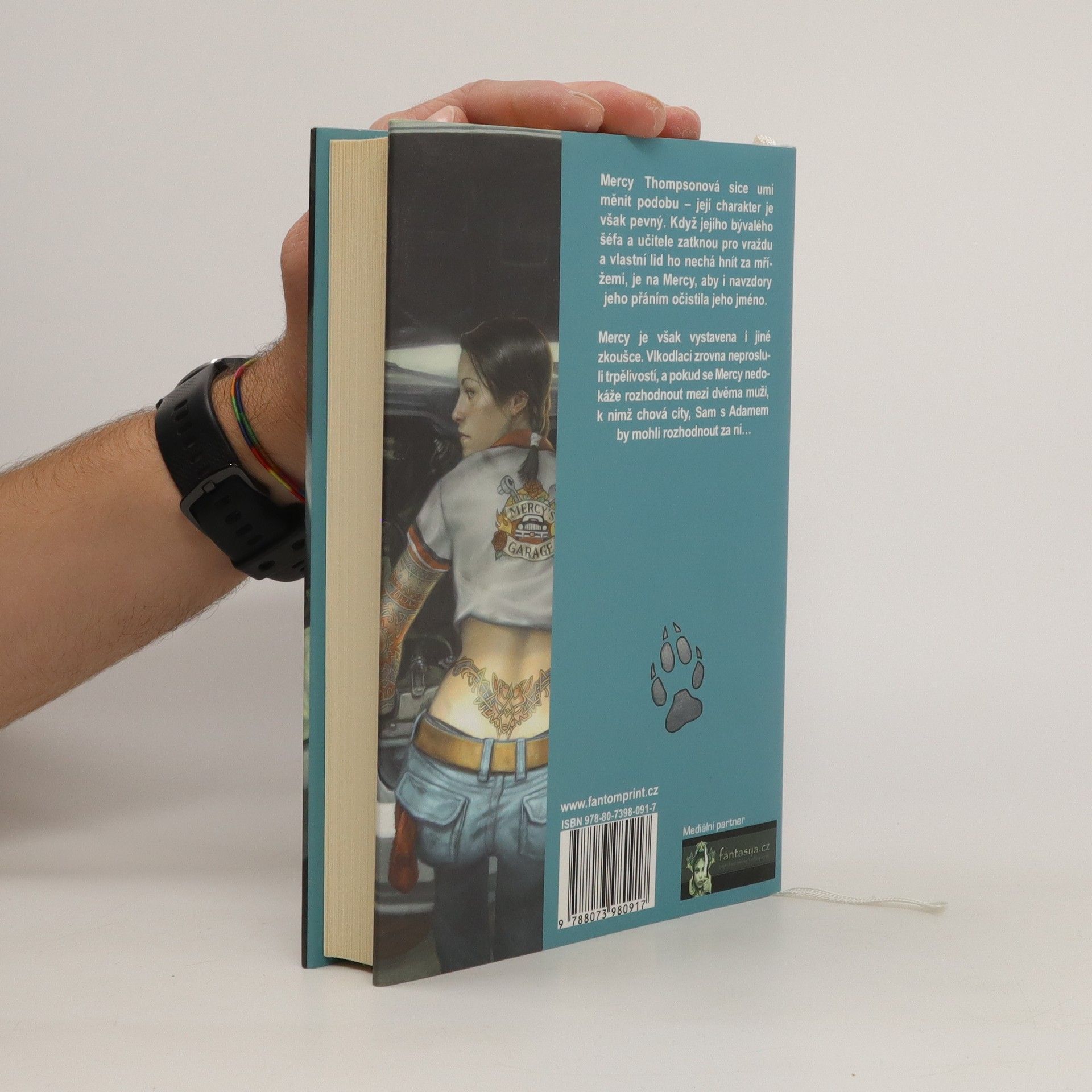 Patricia Briggs Železný polibek
