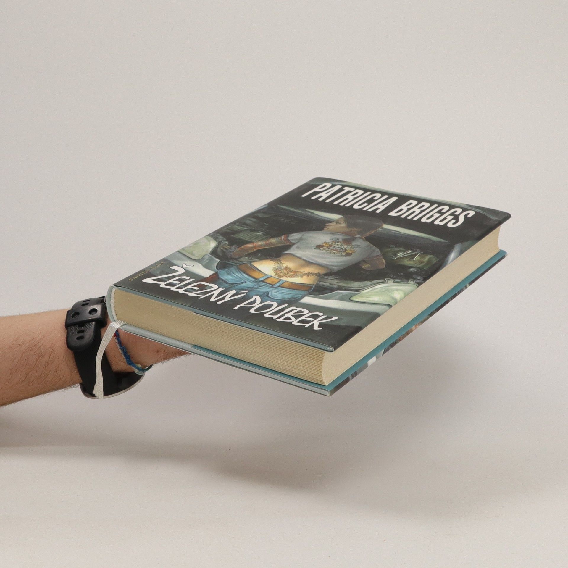 Patricia Briggs Železný polibek