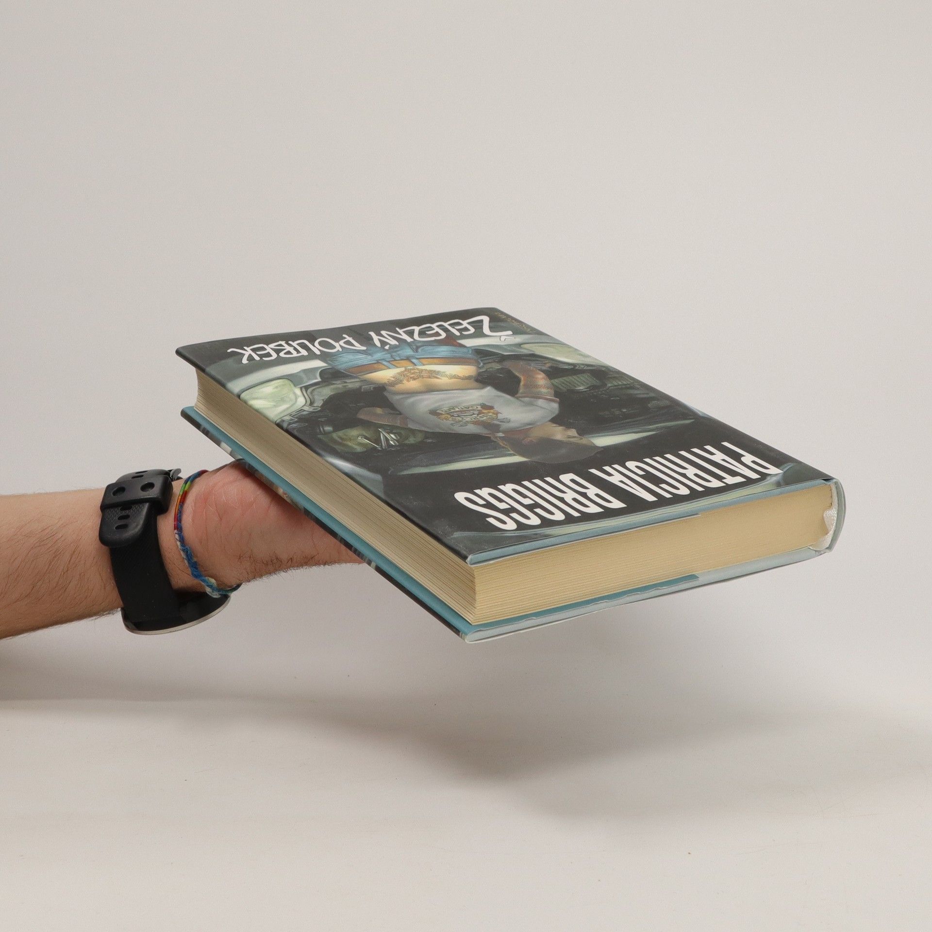 Patricia Briggs Železný polibek